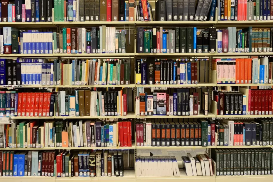 Sistema Nacional de Bibliotecas