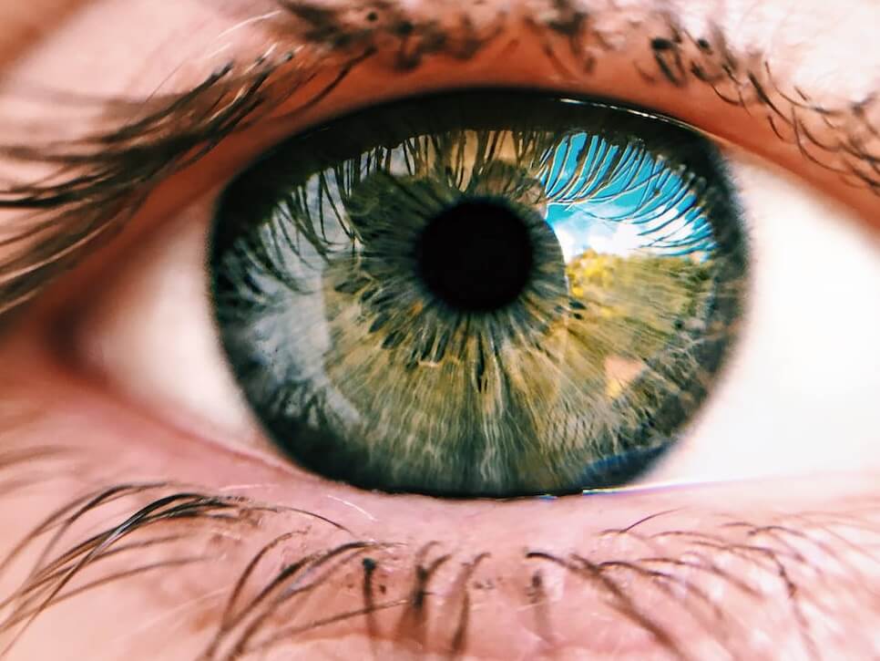 Como funciona o Olho Humano?