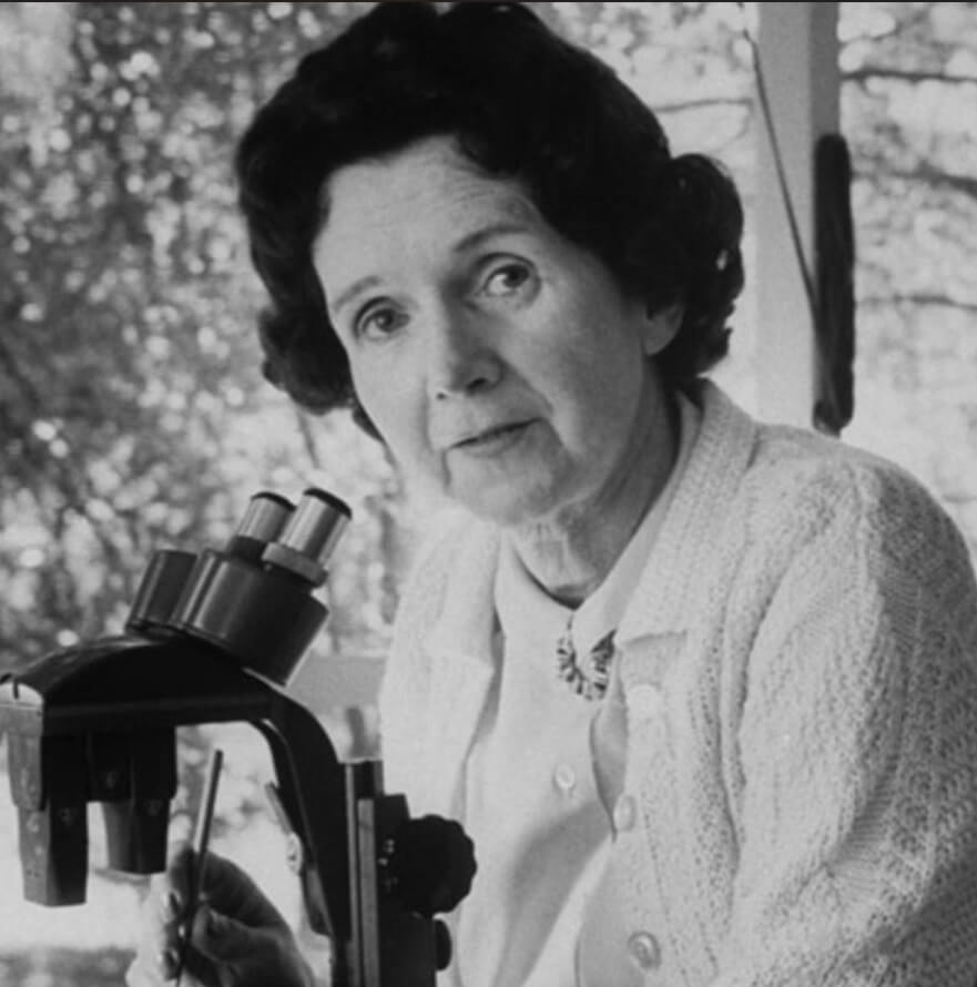 Rachel Carson 