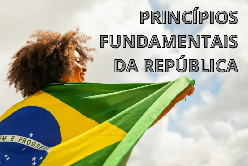 Princípios Fundamentais da República – Entenda as bases da Constituição Brasileira